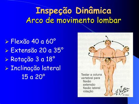 Supino com Arco Lombar – Impacto na Amplitude de Movimento。